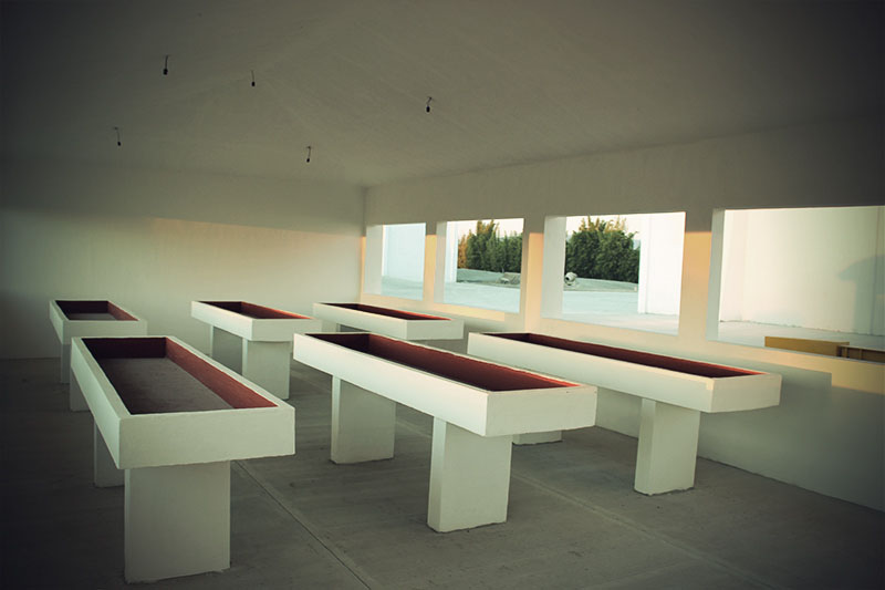 semillas y productos con alta calidad